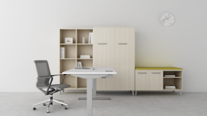 Dash Friant Desk D